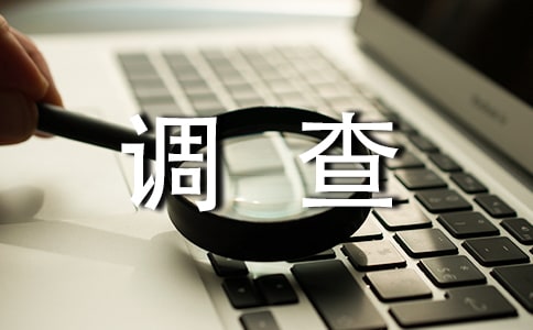 （优）错别字调查作文