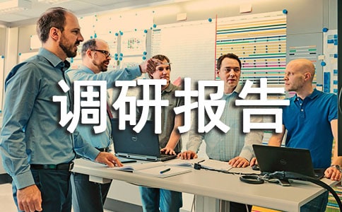 粮食质量和原粮卫生监测调研报告