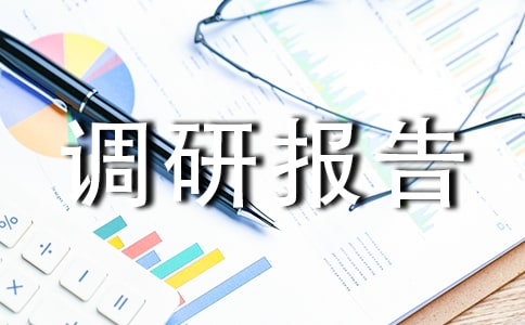 农村医卫整顿调研报告
