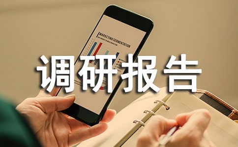 农村金融服务调研报告