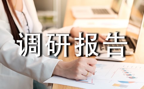 城区水域调研报告精选