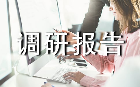 X镇经营集镇的基本作法_调研报告