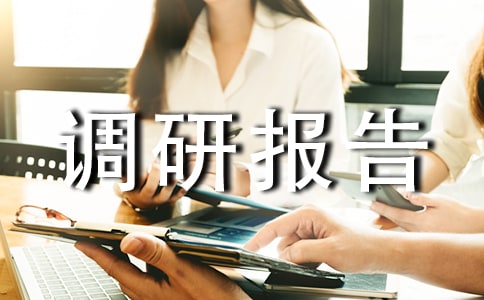 企业调研报告怎么写