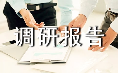关于走访企业调研报告范文