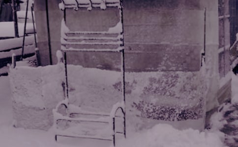 雪后感受冬日的阳光随笔