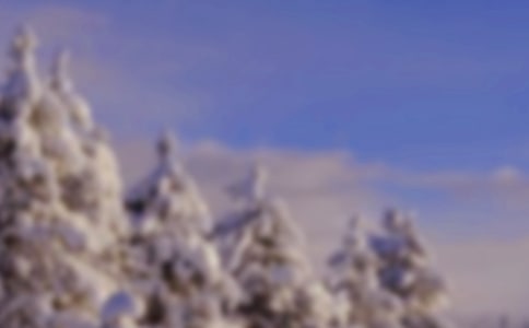 冬天的雪作文