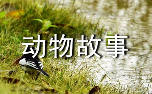 动物故事书小鹿斑比读后感150字6篇