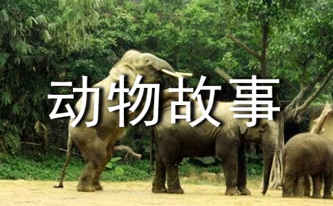 有关动物故事书的读后感