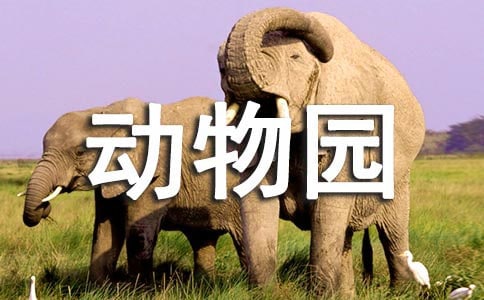 动物园看图写话