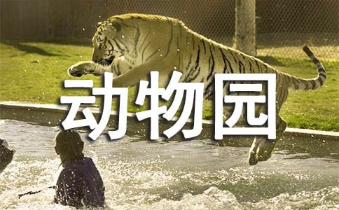 随笔：动物园里的生命