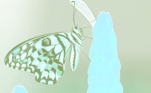 动植物学野外实结