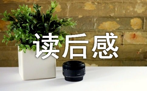 四大名著红楼梦读后感300字作文