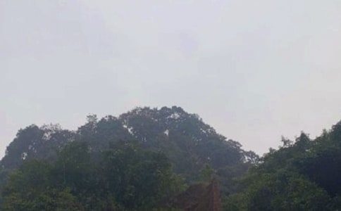 游峨眉山作文【经典】