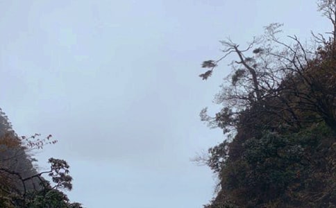 (优)美丽的峨眉山作文