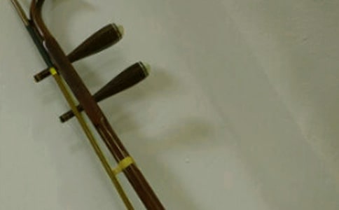 二胡伴我成长作文
