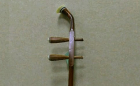 我爱二胡作文(8篇)
