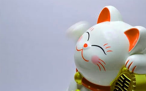 关于写发财树的作文四篇