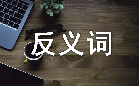 同义词近义词反义词的词典