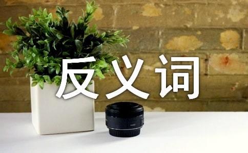 新华出版社反义词词典简介