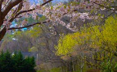 【热门】一道美丽的风景线作文