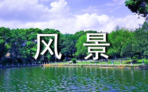 美丽的风景随笔