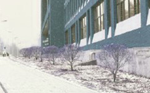 暴风雪作文[经典]