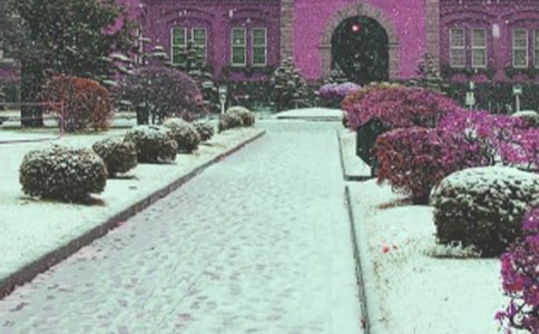 世界上最大的暴风雪