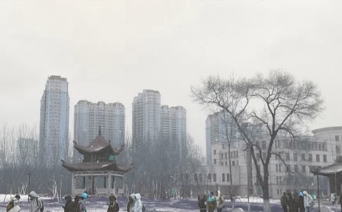 暴风雪作文