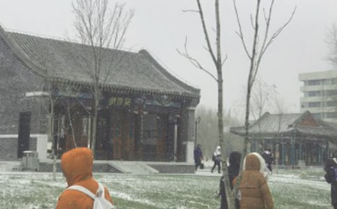 暴风雪应急预案【精】