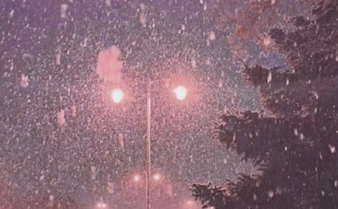 有关风雪作文500字3篇