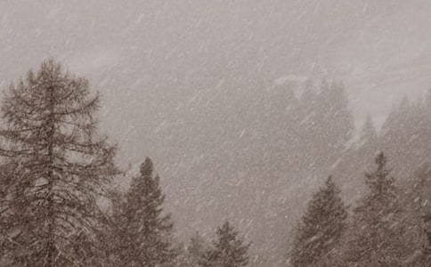 暴风雪应急预案（通用20篇）