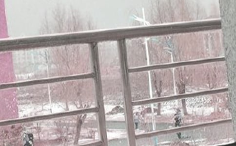 （荐）暴风雪作文