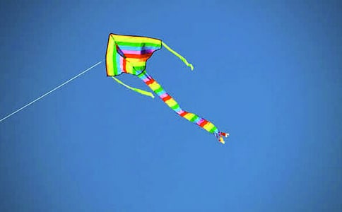 (精选)风筝的作文