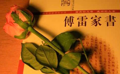 傅雷家书读书随笔500字