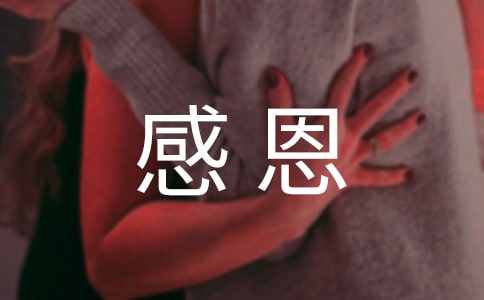 感恩 的公益广告语