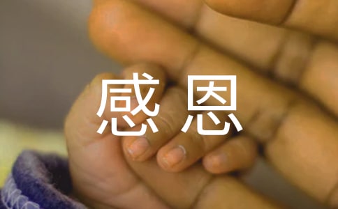 关于感恩父母的名言警句名句汇总