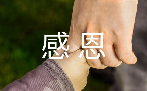 感恩父母的学生抄报资料