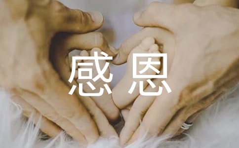 感恩母亲作文(合集10篇)