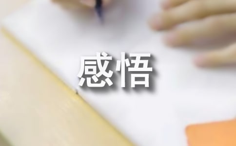 暑期社会实践的感悟