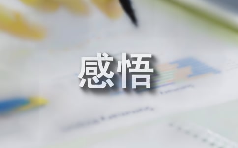 懂得是心灵的港湾是岁月的陪伴心灵感悟