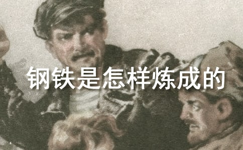 钢铁是怎样炼成的作文集锦15篇