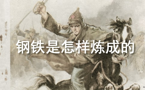 钢铁是怎样炼成的作文汇编15篇