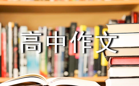 这年味高中作文