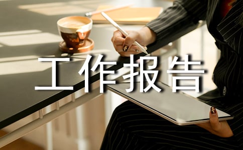 技师技术工作报告