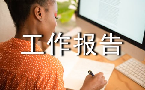 业务员个人工作报告范文总结