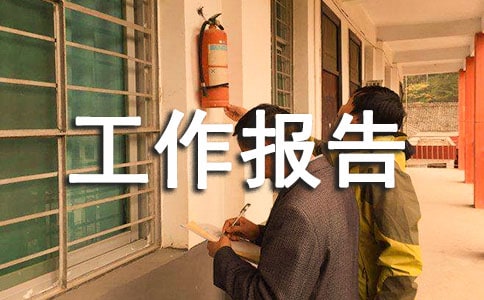技术工作报告