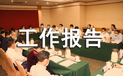 技术业务工作报告