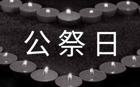 国家公祭日期间辖区安全稳定工作总结