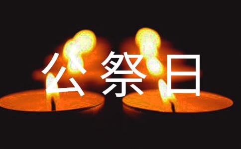 第八个国家公祭日活动个人心得体会