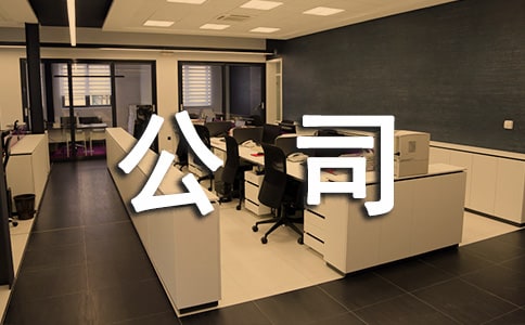 公司的议案